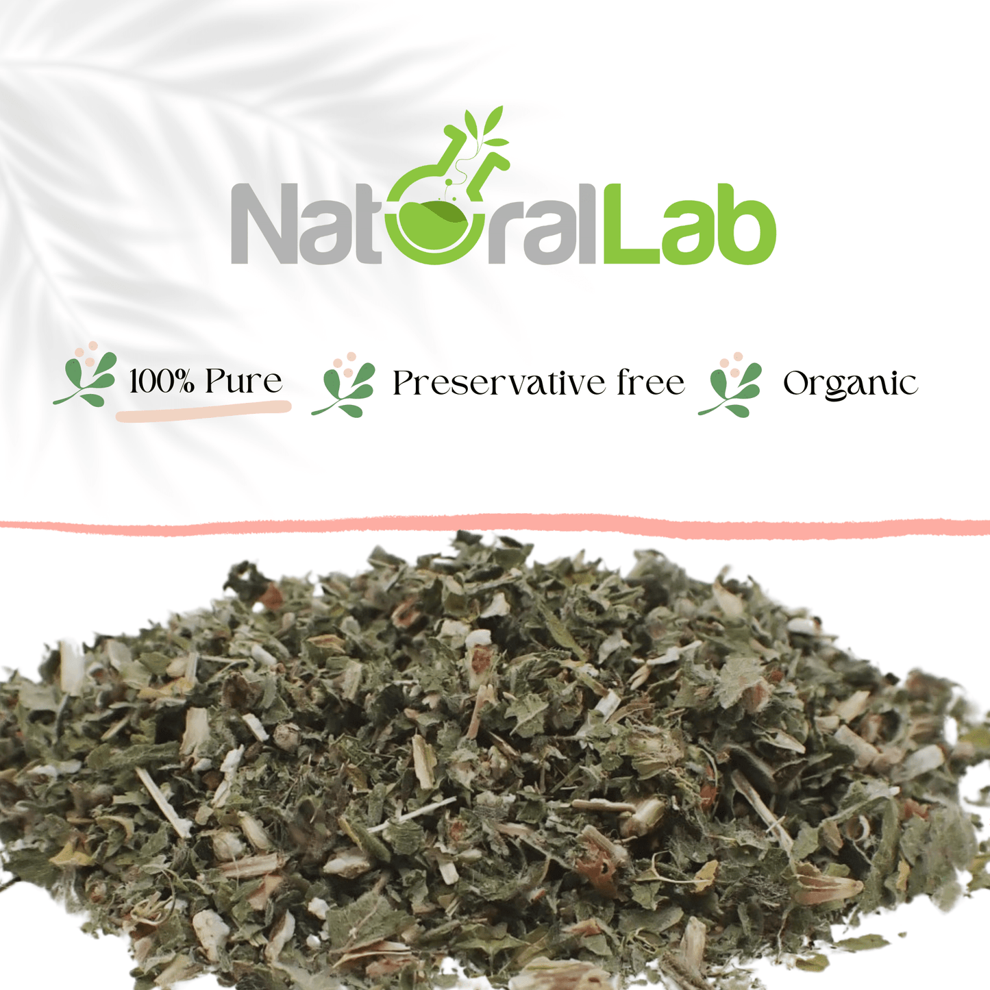 Organic Motherwort | Leonurus cardiaca | Loose