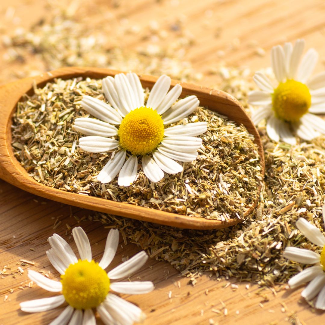 Organic Chamomile Flower | Matricaria chamomilla | Loose